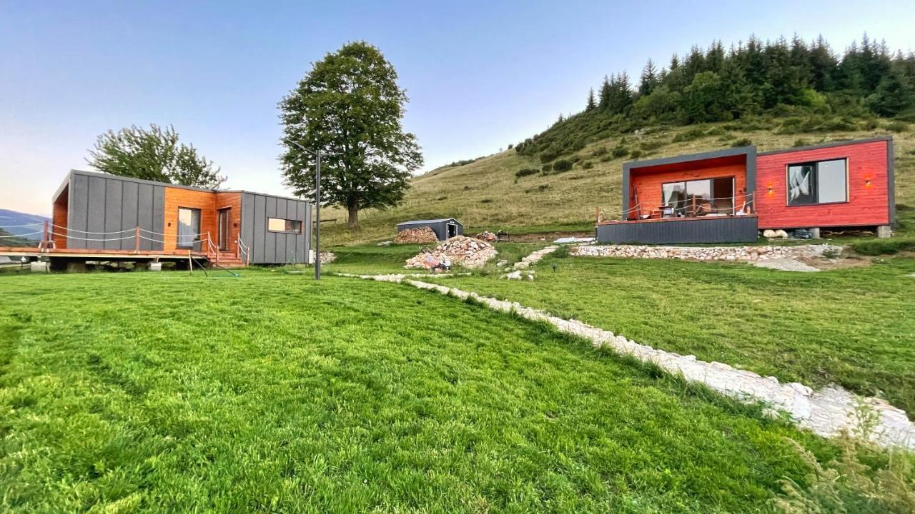 Sycamore Retreat
